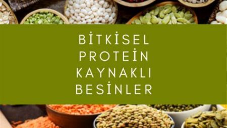 Doğal Protein Kaynakları: Et Alternatifleri ve Bitkisel Proteinler