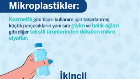 Mikroplastikler ve Gıda Güvenliği: Plastik Kirliliğinin Besin Zincirine Etkileri