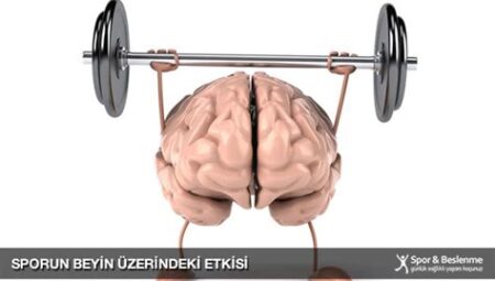 Spor ve Hafıza: Düzenli Egzersizin Bellek Gücü ve Kognitif Fonksiyonlar Üzerindeki Etkileri